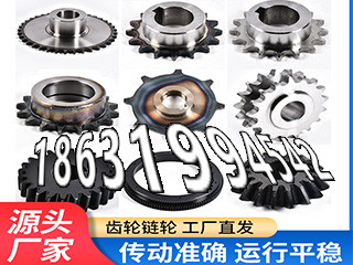 斗式提升机链轮批发厂家